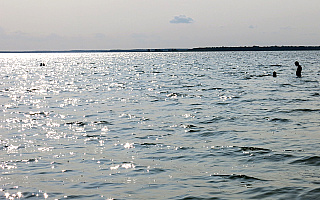 Sinice w jeziorze Śniardwy. Turyści skarżą się na „zupowatą wodę”, sanepid przestrzega: lepiej unikać tam kąpieli